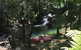 Daintree Secrets Rainforest Sanctuary